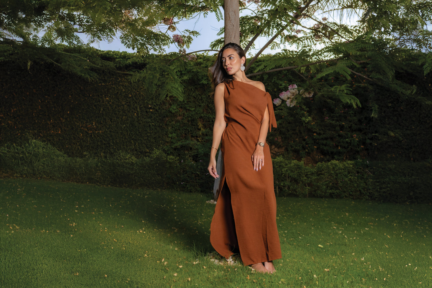 Mocha Dress